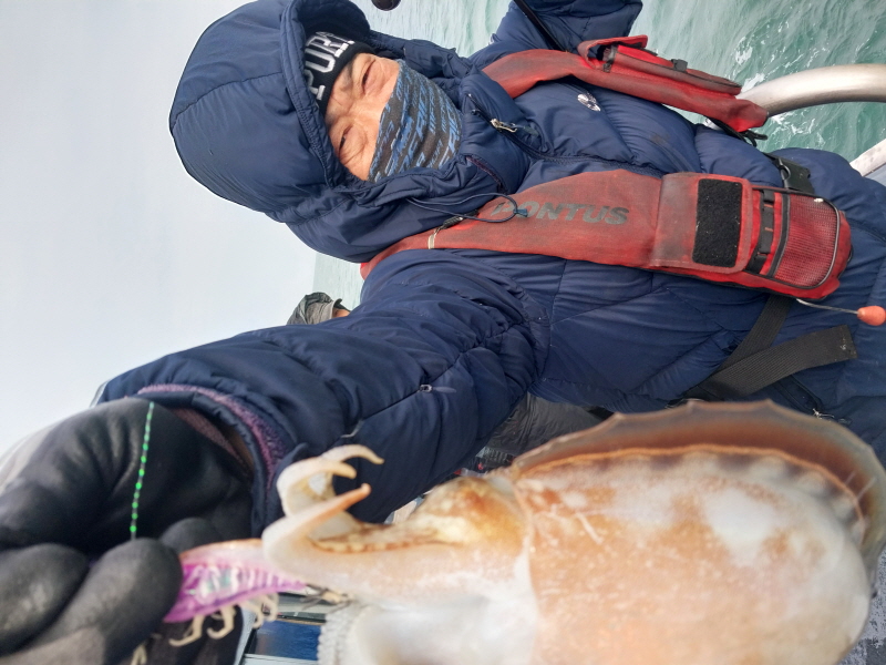 나르샤호 조황갤러리입니다.