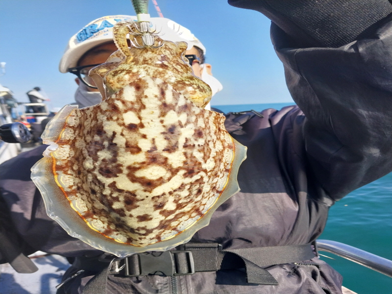 나르샤호 조황갤러리입니다.