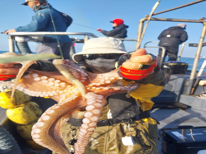 나르샤호 조황갤러리입니다.