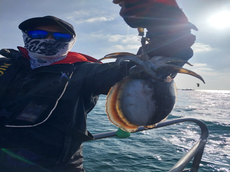 나르샤호 조황갤러리입니다.