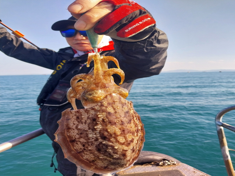 나르샤호 조황갤러리입니다.