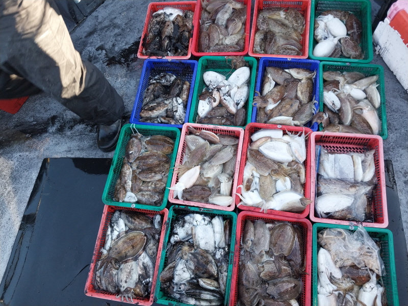 나르샤호 조황갤러리입니다.