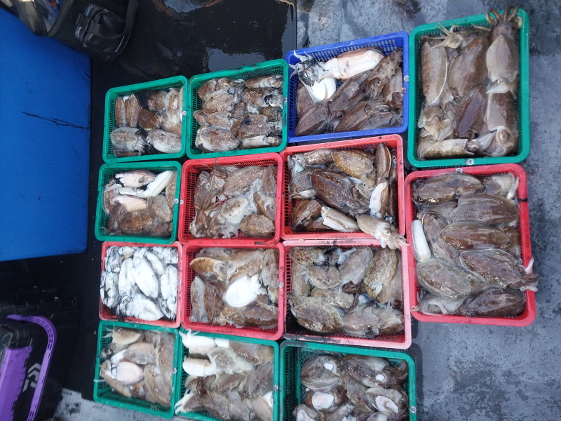 나르샤호 조황갤러리입니다.