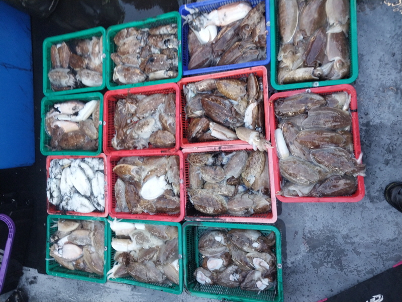 나르샤호 조황갤러리입니다.