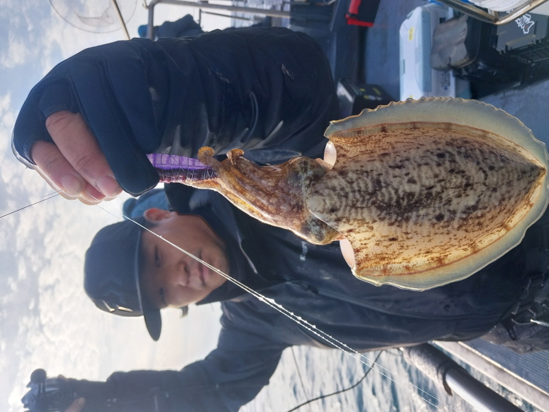 나르샤호 조황갤러리입니다.