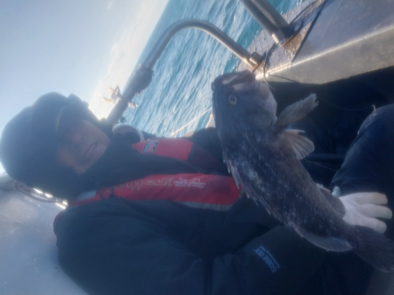 나르샤호 조황갤러리입니다.