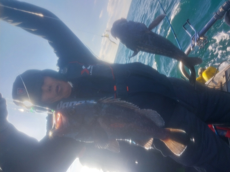 나르샤호 조황갤러리입니다.