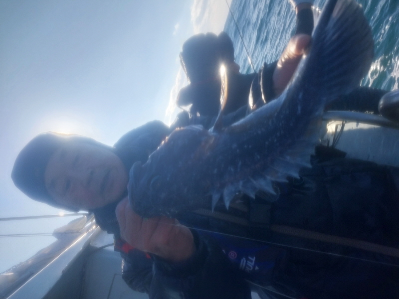 나르샤호 조황갤러리입니다.