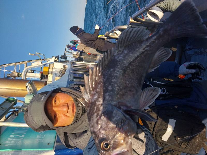 나르샤호 조황갤러리입니다.