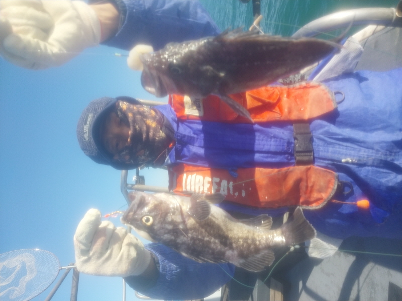 나르샤호 조황갤러리입니다.