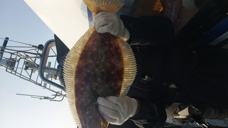 나르샤호 조황갤러리입니다.