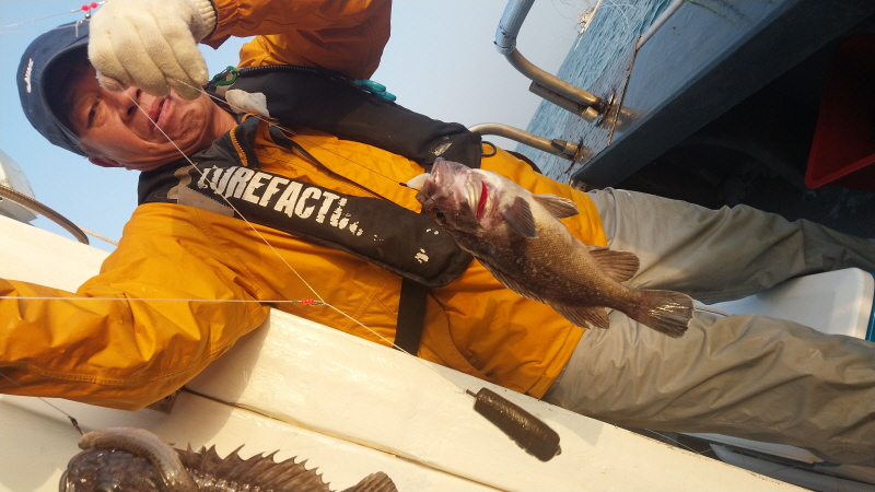 나르샤호 조황갤러리입니다.