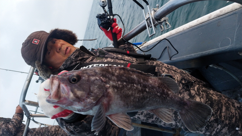 나르샤호 조황갤러리입니다.