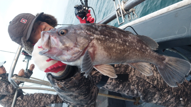 나르샤호 조황갤러리입니다.
