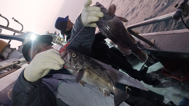 나르샤호 조황갤러리입니다.