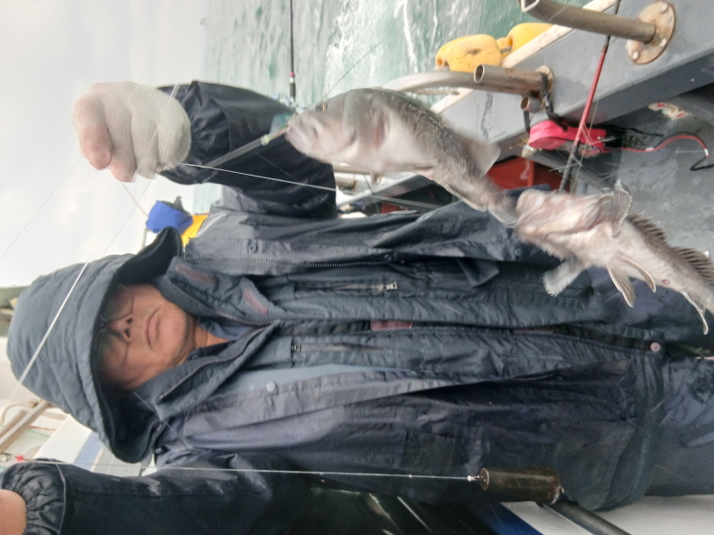 나르샤호 조황갤러리입니다.