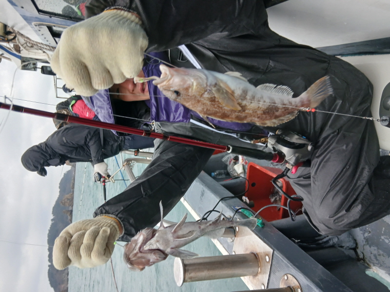 나르샤호 조황갤러리입니다.