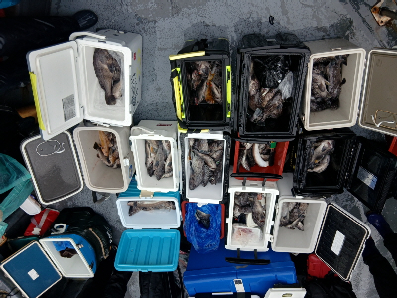 나르샤호 조황갤러리입니다.