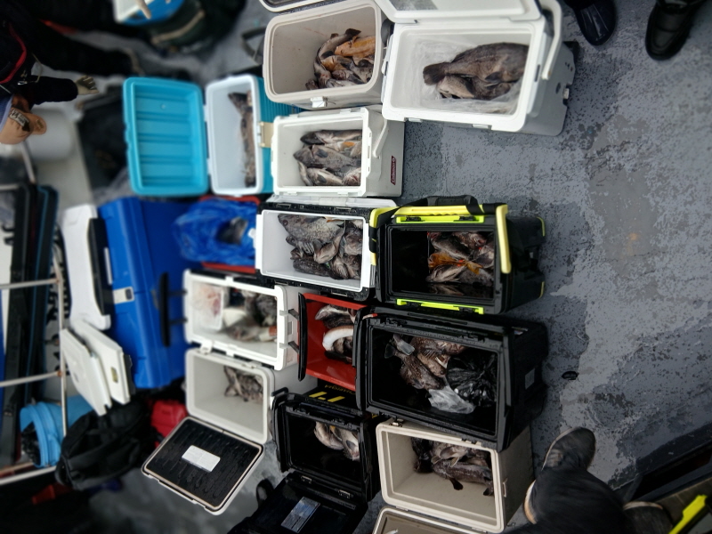 나르샤호 조황갤러리입니다.