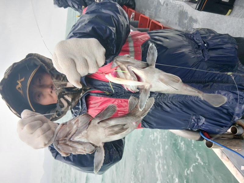 나르샤호 조황갤러리입니다.