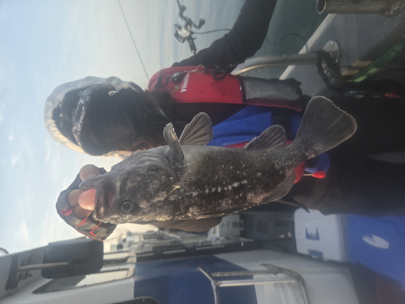 나르샤호 조황갤러리입니다.