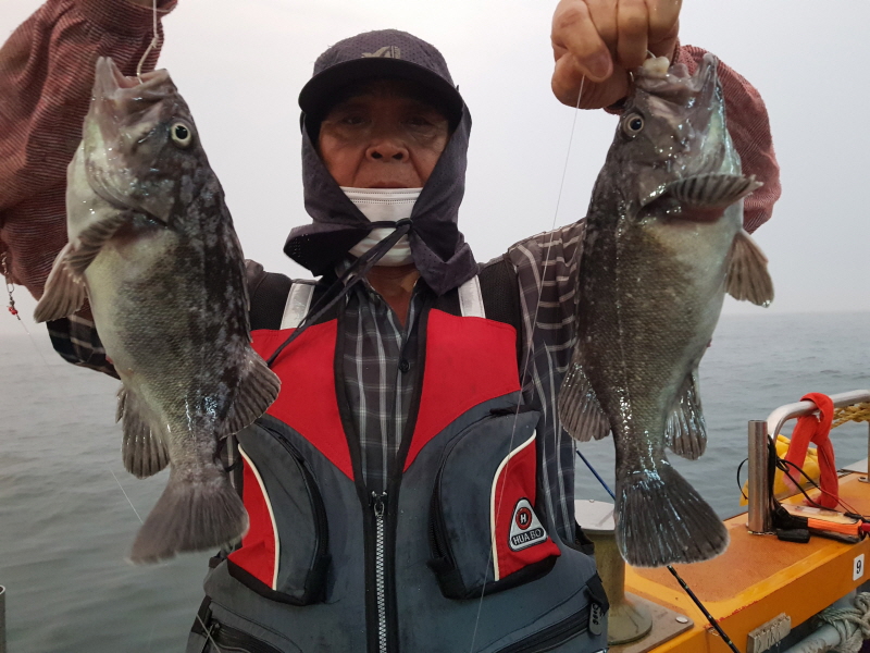 뉴신정호 조황갤러리입니다.