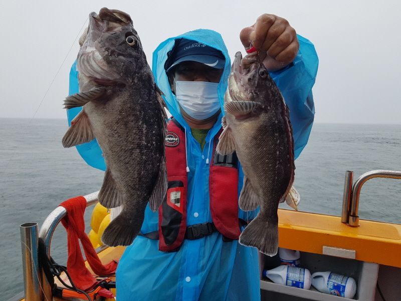 뉴신정호 조황갤러리입니다.