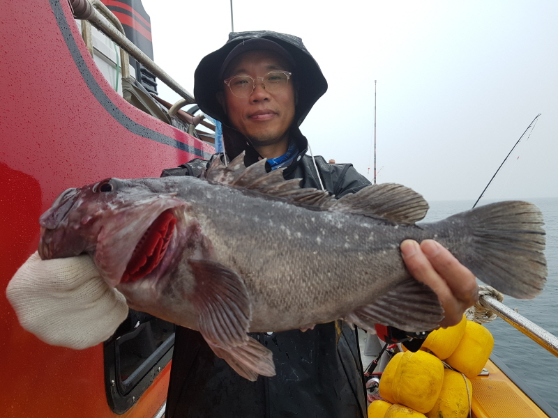 뉴신정호 조황갤러리입니다.