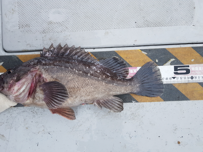 뉴신정호 조황갤러리입니다.