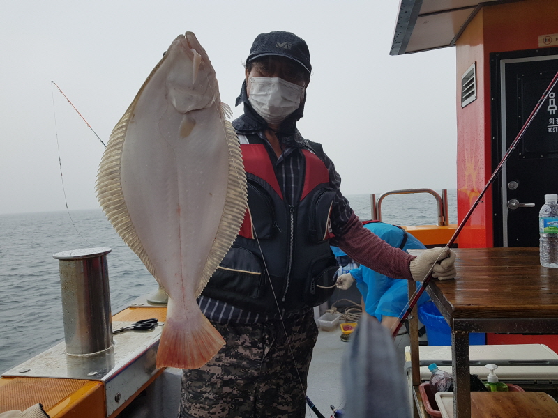 뉴신정호 조황갤러리입니다.