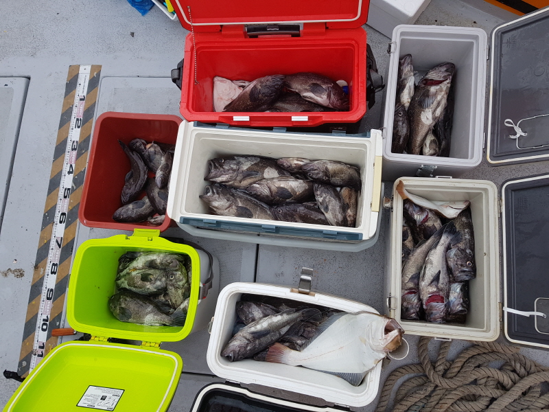 뉴신정호 조황갤러리입니다.