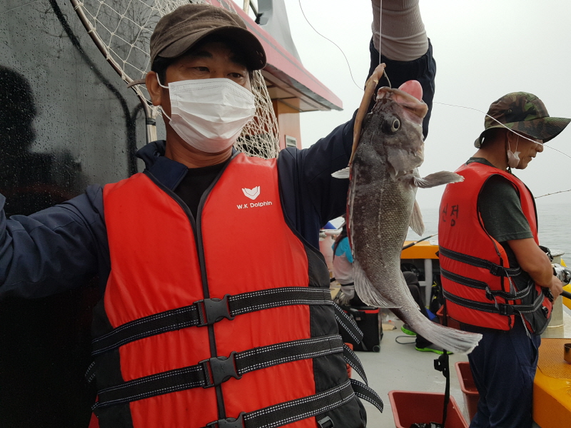 뉴신정호 조황갤러리입니다.