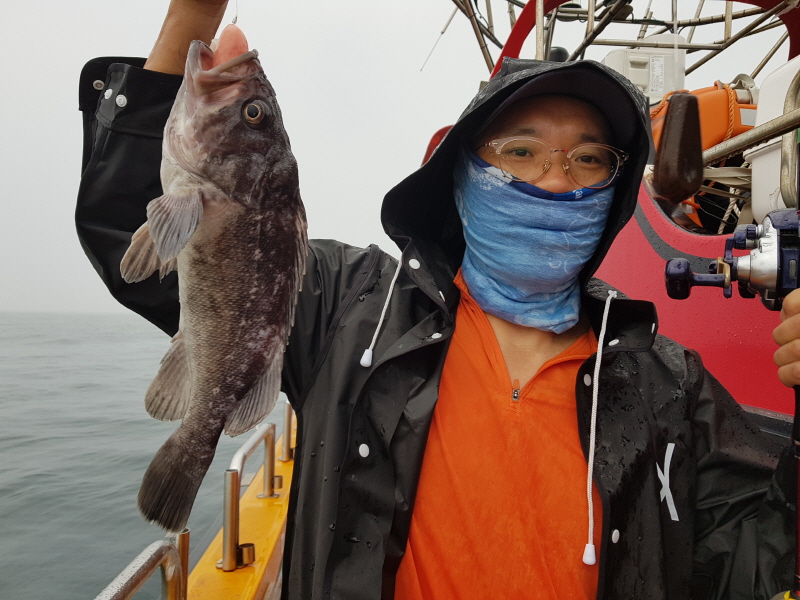 뉴신정호 조황갤러리입니다.