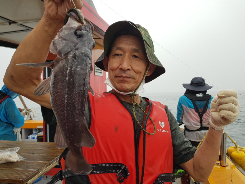 뉴신정호 조황갤러리입니다.