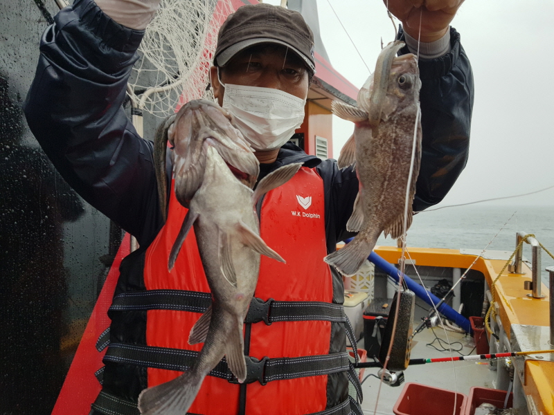 뉴신정호 조황갤러리입니다.