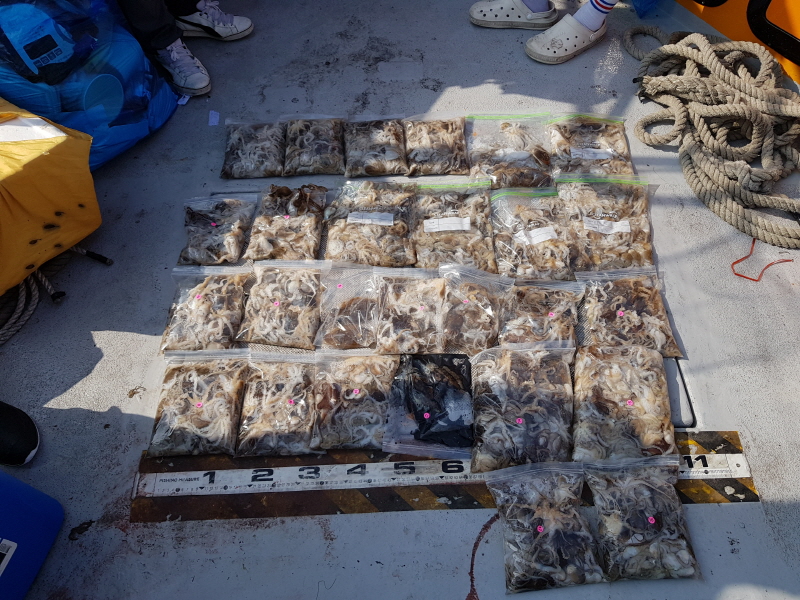 뉴신정호 조황갤러리입니다.