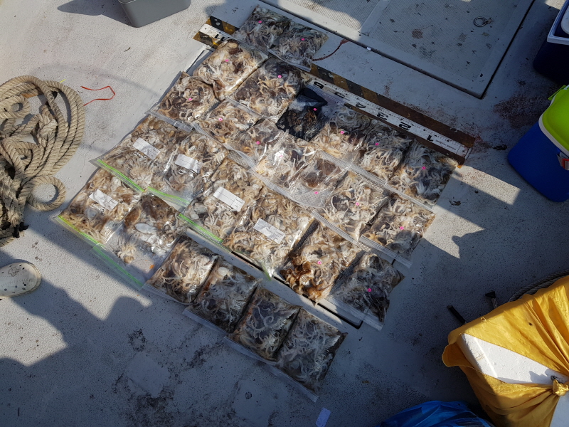 뉴신정호 조황갤러리입니다.