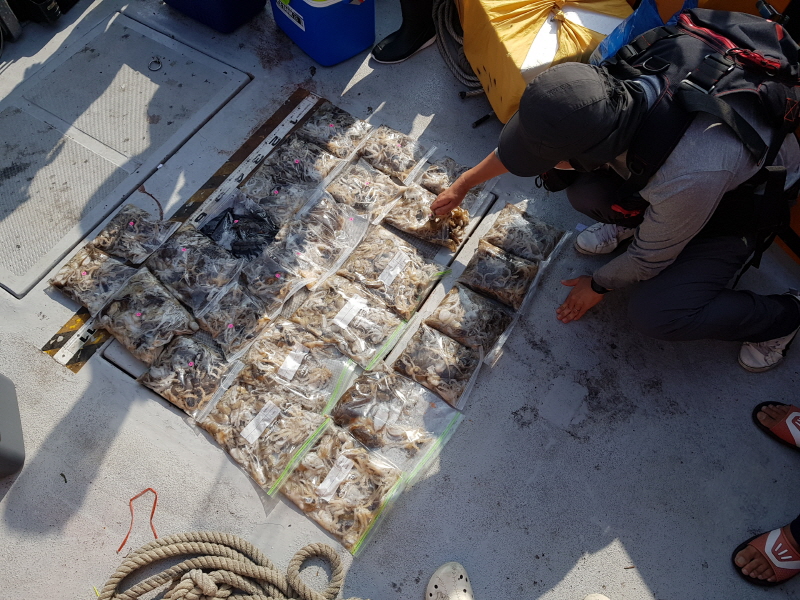 뉴신정호 조황갤러리입니다.