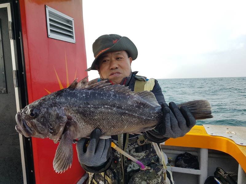 뉴신정호 조황갤러리입니다.