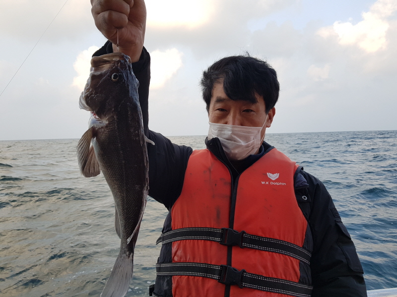 뉴신정호 조황갤러리입니다.