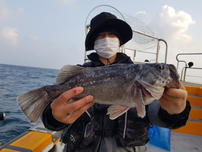 뉴신정호 조황갤러리입니다.