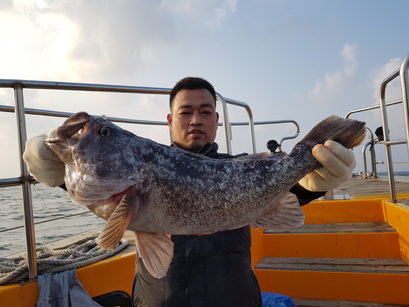 뉴신정호 조황갤러리입니다.