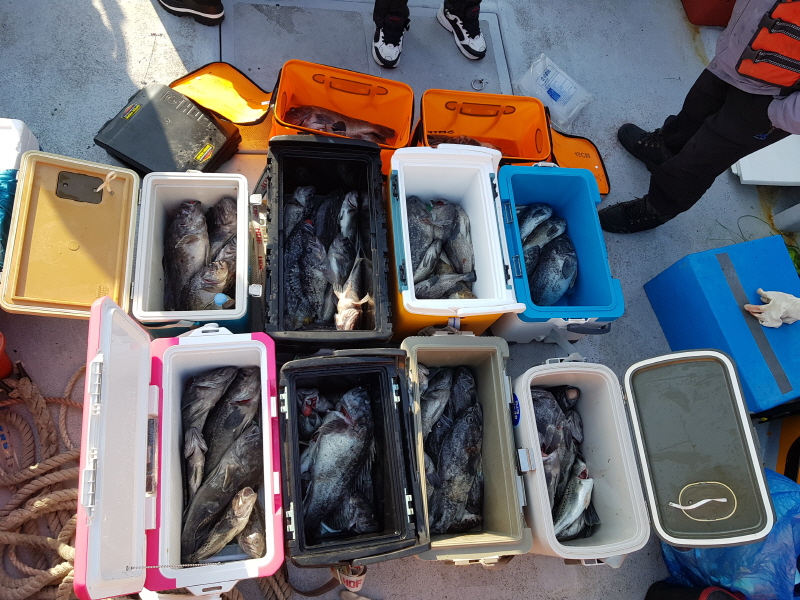 뉴신정호 조황갤러리입니다.