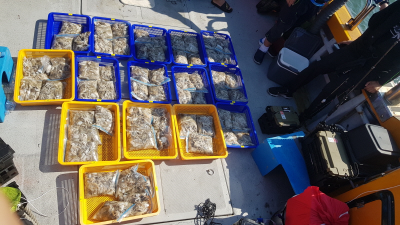 뉴신정호 조황갤러리입니다.