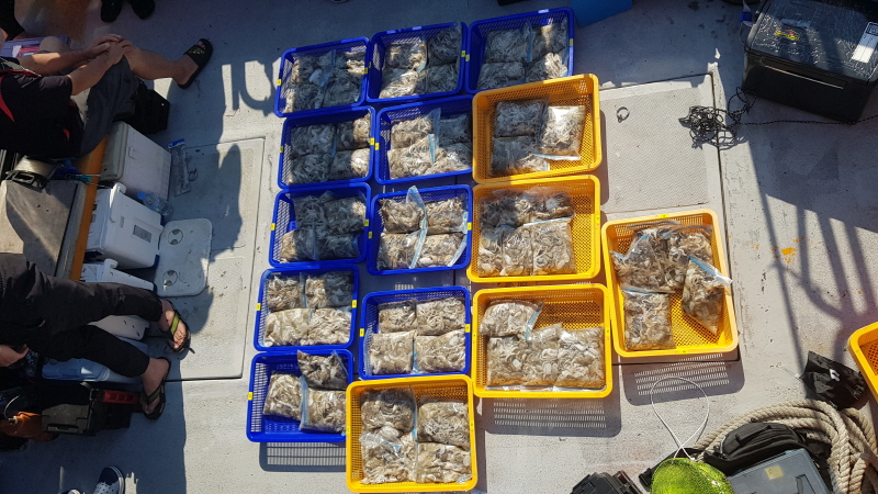 뉴신정호 조황갤러리입니다.