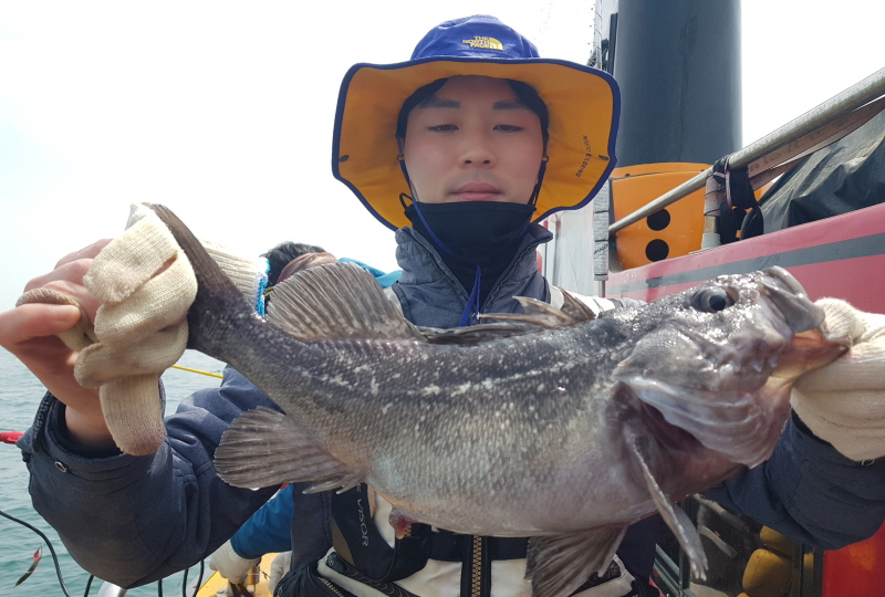 뉴신정호 조황갤러리입니다.