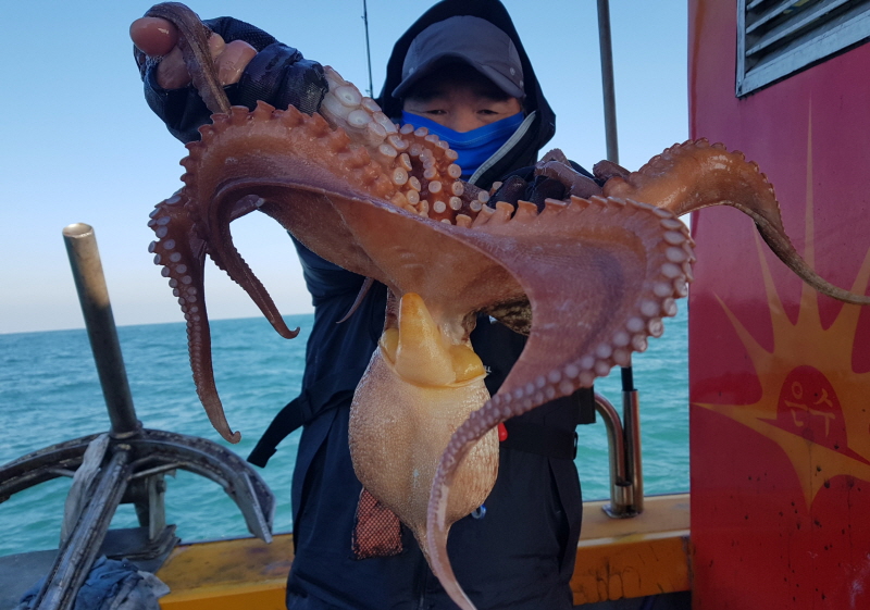 뉴신정호 조황갤러리입니다.