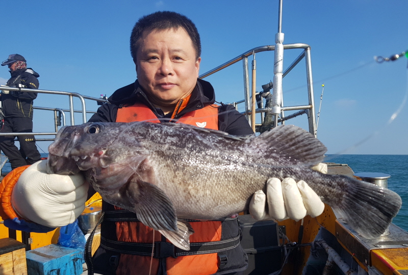 뉴신정호 조황갤러리입니다.