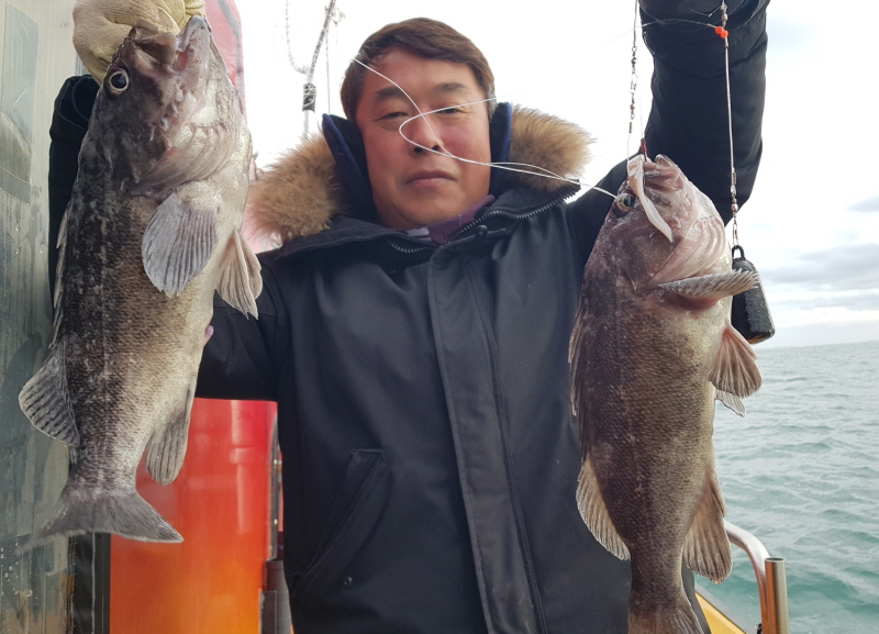 뉴신정호 조황갤러리입니다.