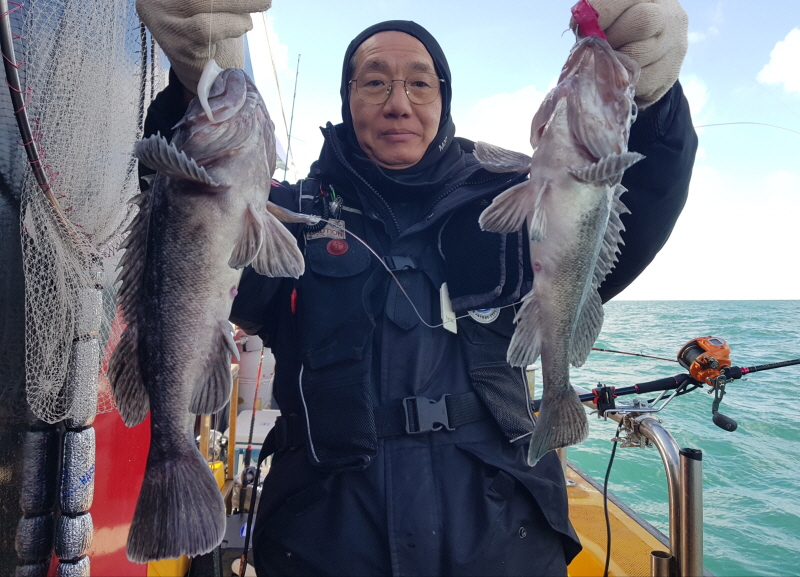 뉴신정호 조황갤러리입니다.